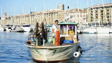 Le métier des pêcheurs de Marseille a évolué