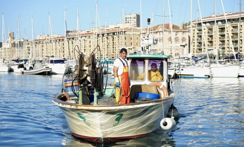 Le métier des pêcheurs de Marseille a évolué