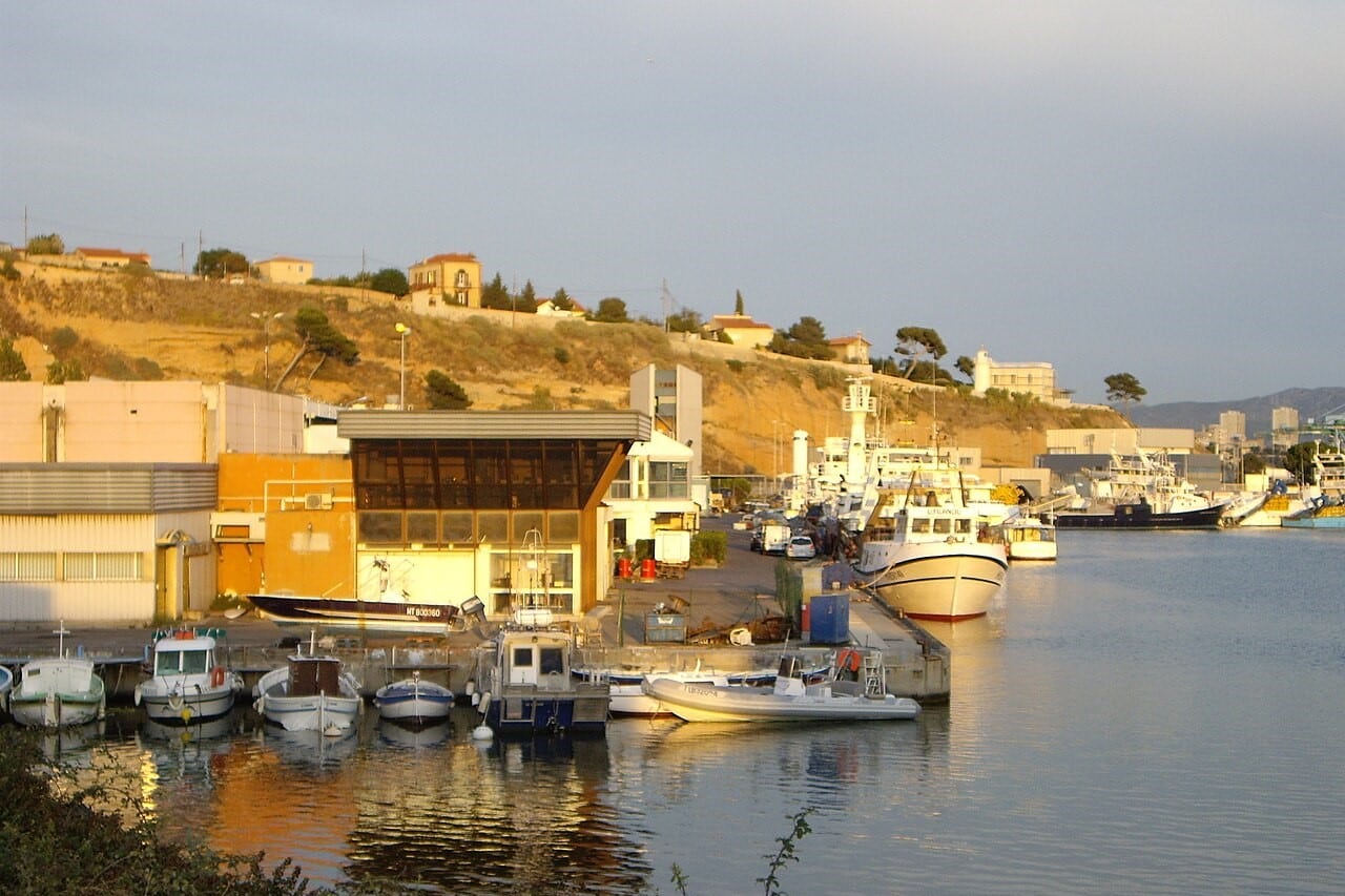 pêche, Vers l&rsquo;Estaque, un nouveau projet « pour sauver la pêche » sur le port de Saumaty, Made in Marseille