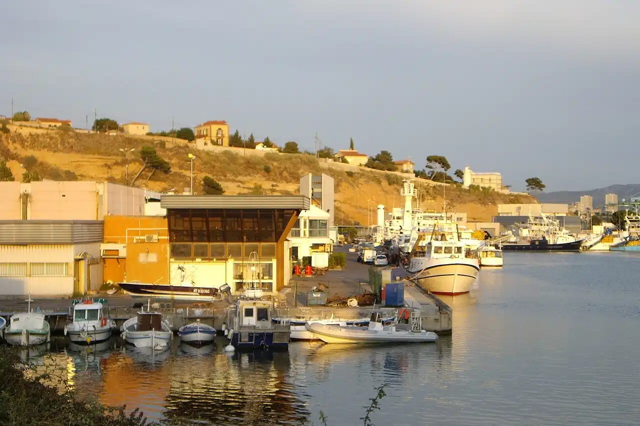 pêcheurs, D’hier à aujourd’hui, les pêcheurs marseillais ballottés entre contraintes et passion du métier, Made in Marseille