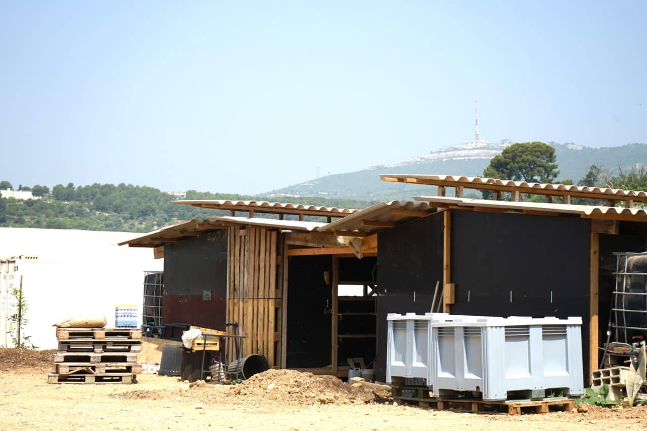 Bétheline, À Marseille, les agriculteurs cultivent le nouveau tiers-lieu de la Bétheline, Made in Marseille