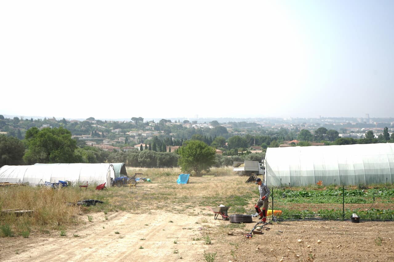 Bétheline, À Marseille, les agriculteurs cultivent le nouveau tiers-lieu de la Bétheline, Made in Marseille