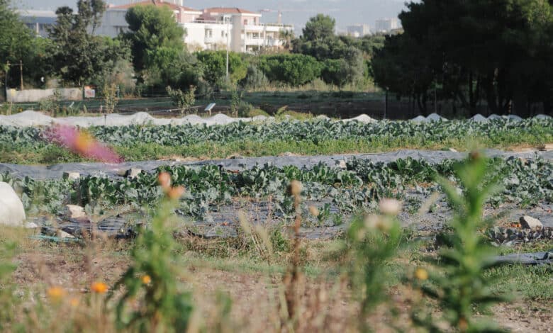 Agrifoodtech Kedge cité de l'agriculture et Intermade