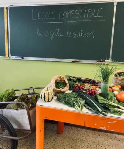 , Marseille : De la terre à l’assiette, l’école comestible fait ses classes à Air Bel, Made in Marseille
