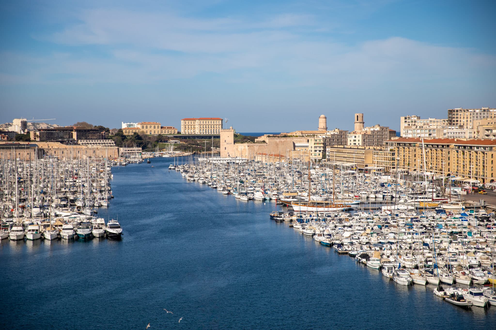 Vieux-Port, Les Marseillais se jettent à l&rsquo;eau pour dépolluer le Vieux-Port ce samedi, Made in Marseille