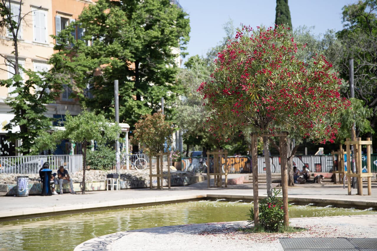 arbres cours julien, Photos | Vingt nouveaux arbres ont été plantés au cours Julien, Made in Marseille