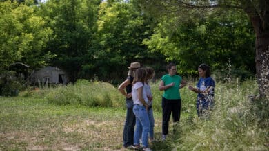 verrerie arles vert2mains