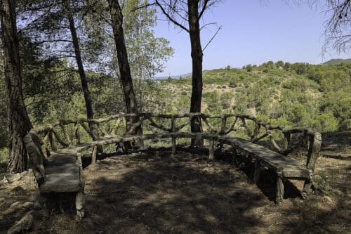 agricole, En images | À Marseille, la renaissance d&rsquo;un vieux domaine agricole sauvé du béton, Made in Marseille