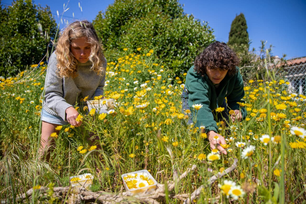 agriculture urbaine, À Marseille, l&rsquo;agriculture urbaine gagne du terrain, Made in Marseille
