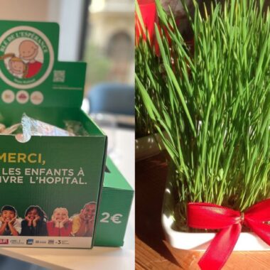 %%sitename%%, Made in Marseille — – v2, Made in Marseille