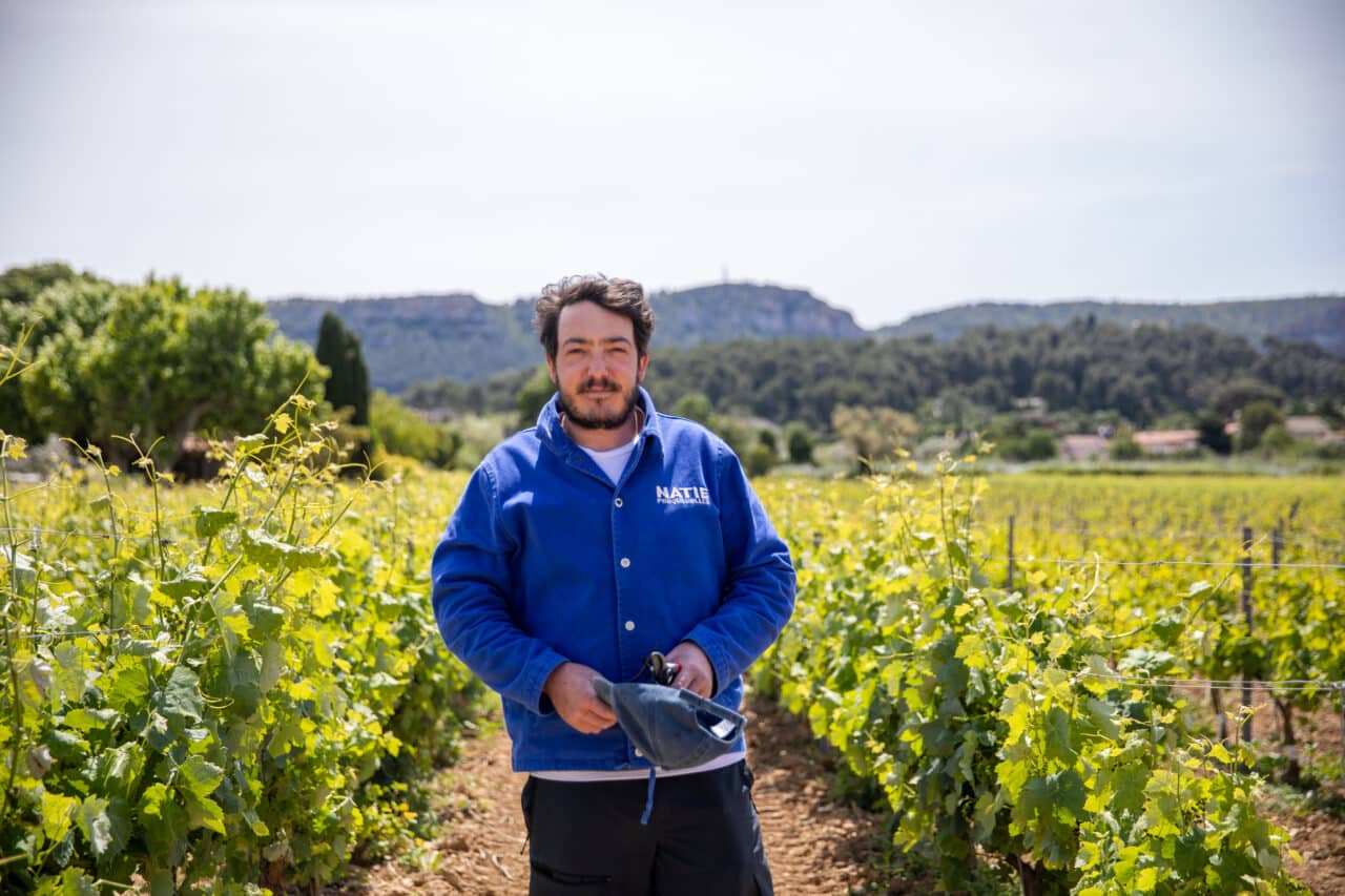 viticulteurs, Comment les viticulteurs Cassidains s’adaptent-ils au changement climatique ?, Made in Marseille