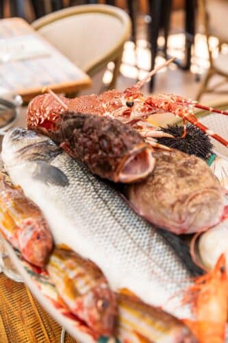 bouillabaisse, Le premier championnat du monde de bouillabaisse organis&eacute; &agrave; Marseille en 2026, Made in Marseille