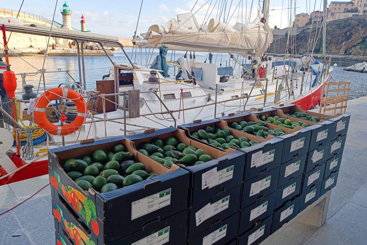 À Marseille, Bourlingue & Pacotille se bat pour développer le transport de marchandises à la voile