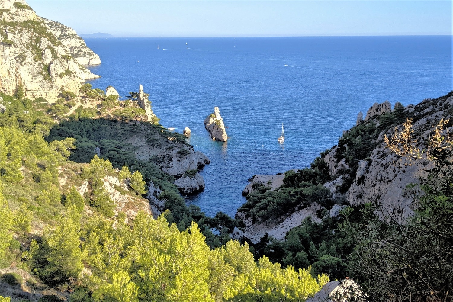 méditerranée, Méditerranée du futur : le Prince de Monaco adoube le fonds de 1 milliard, Made in Marseille
