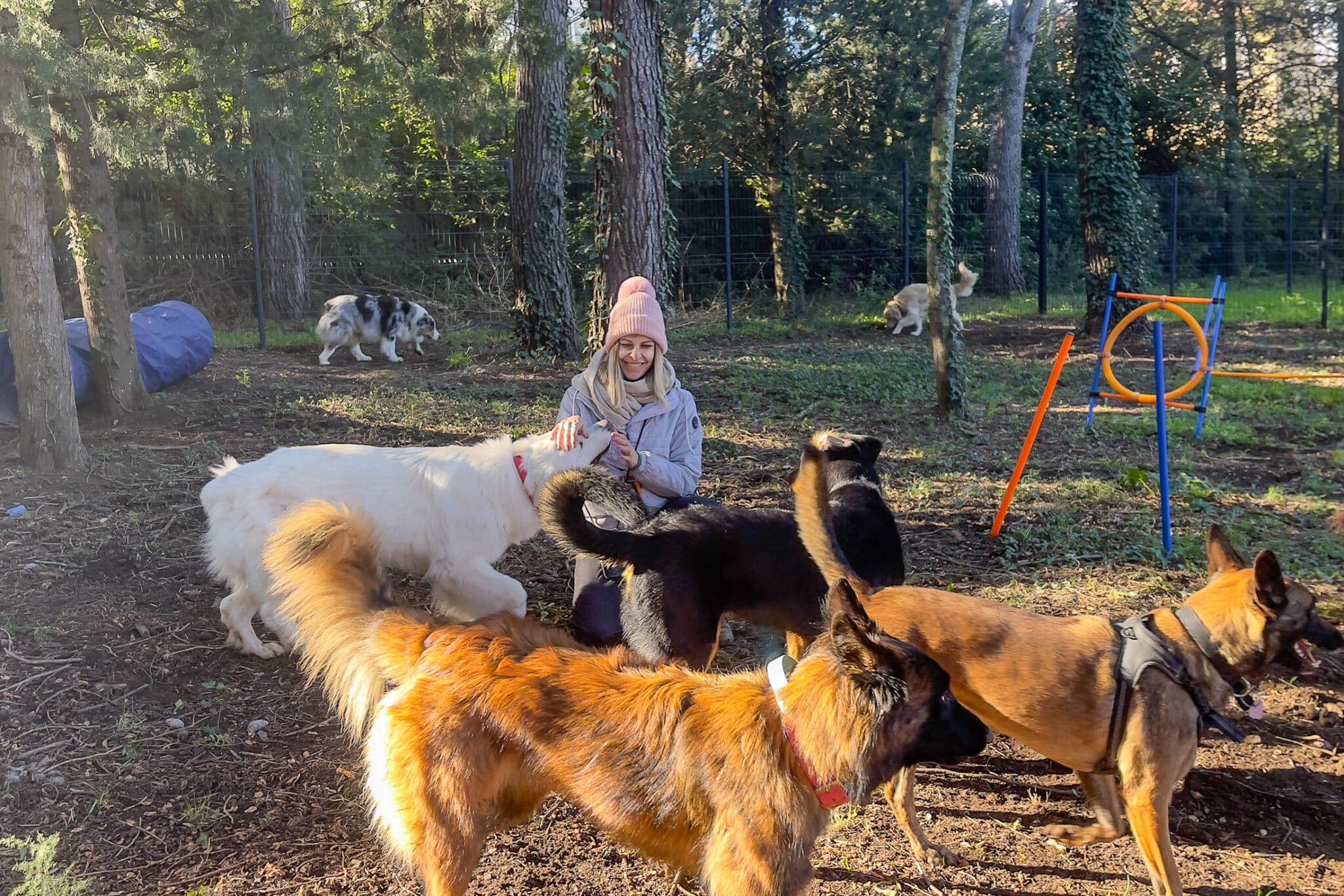 centre aéré, Vidéo | Le premier centre aéré pour chiens de Marseille a ouvert aux Trois-Lucs, Made in Marseille