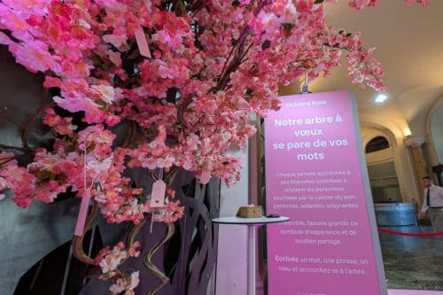 caisse d'épargne cepac, Vidéo | La Caisse d&rsquo;Épargne CEPAC s&rsquo;engage contre le cancer du sein pour Octobre Rose, Made in Marseille