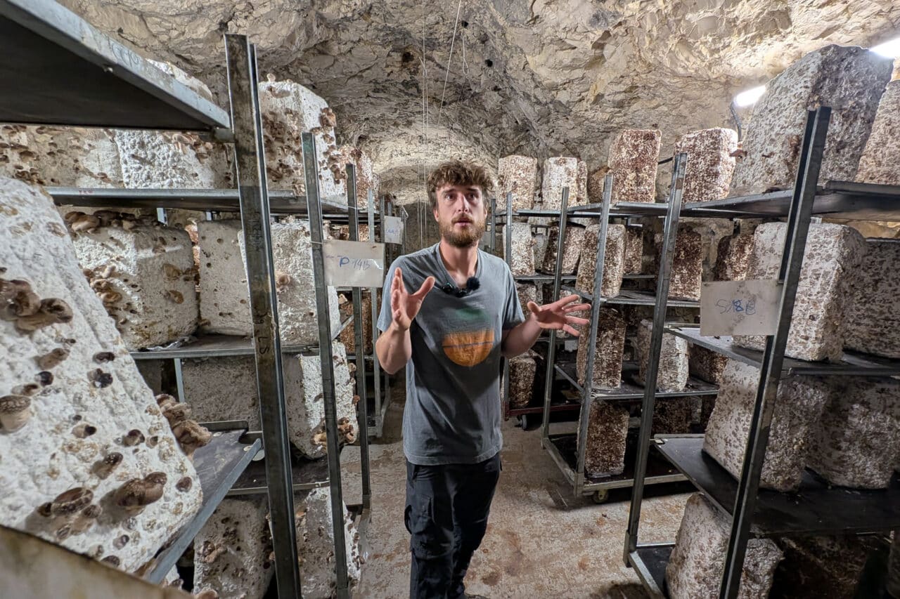Vidéo | D’anciens tunnels nazis transformés en ferme à champignons à Marseille