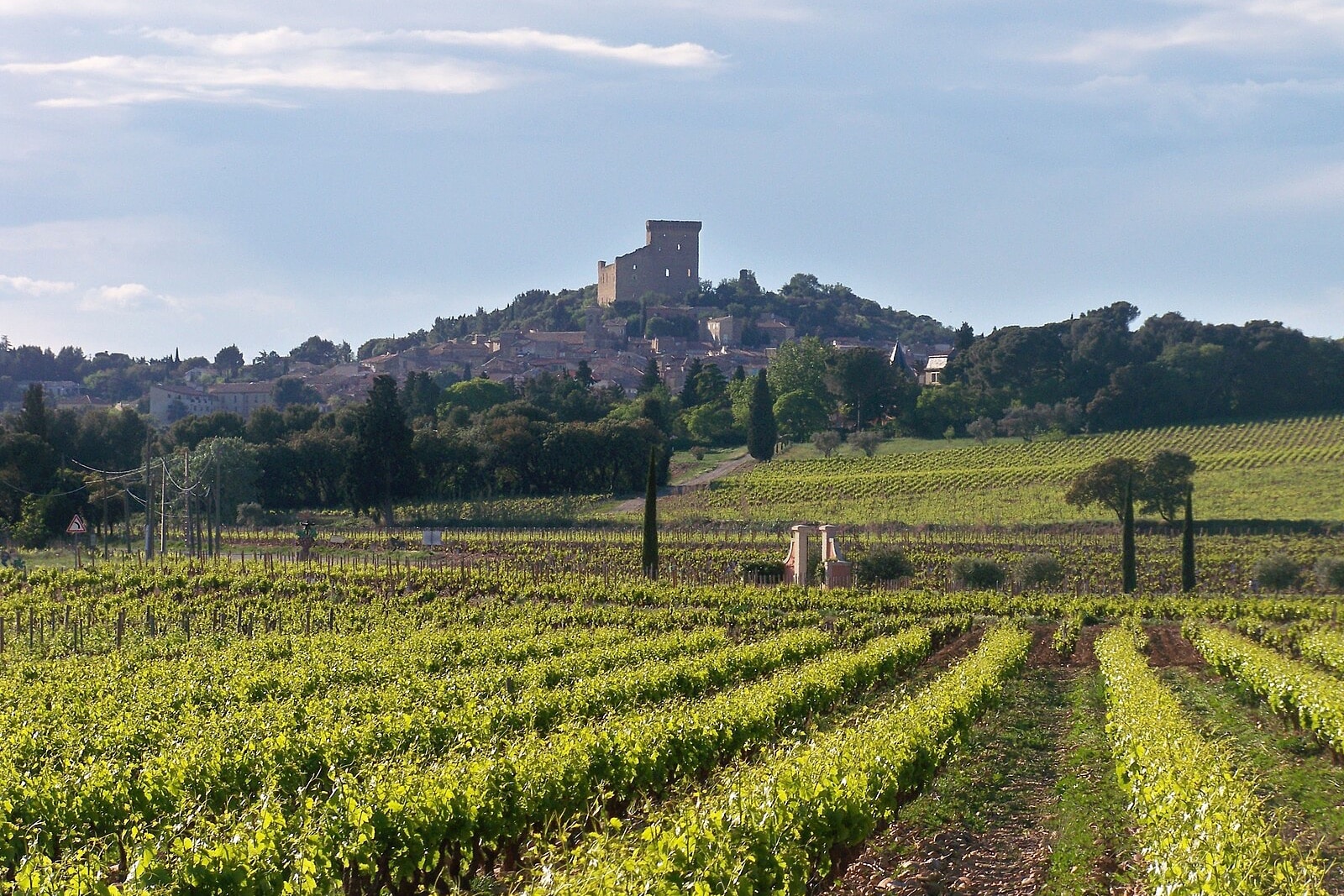 Châteauneuf-du-Pape, Châteauneuf-du-Pape : 20 hectares de vignes sanctuarisées pour les viticulteurs locaux, Made in Marseille