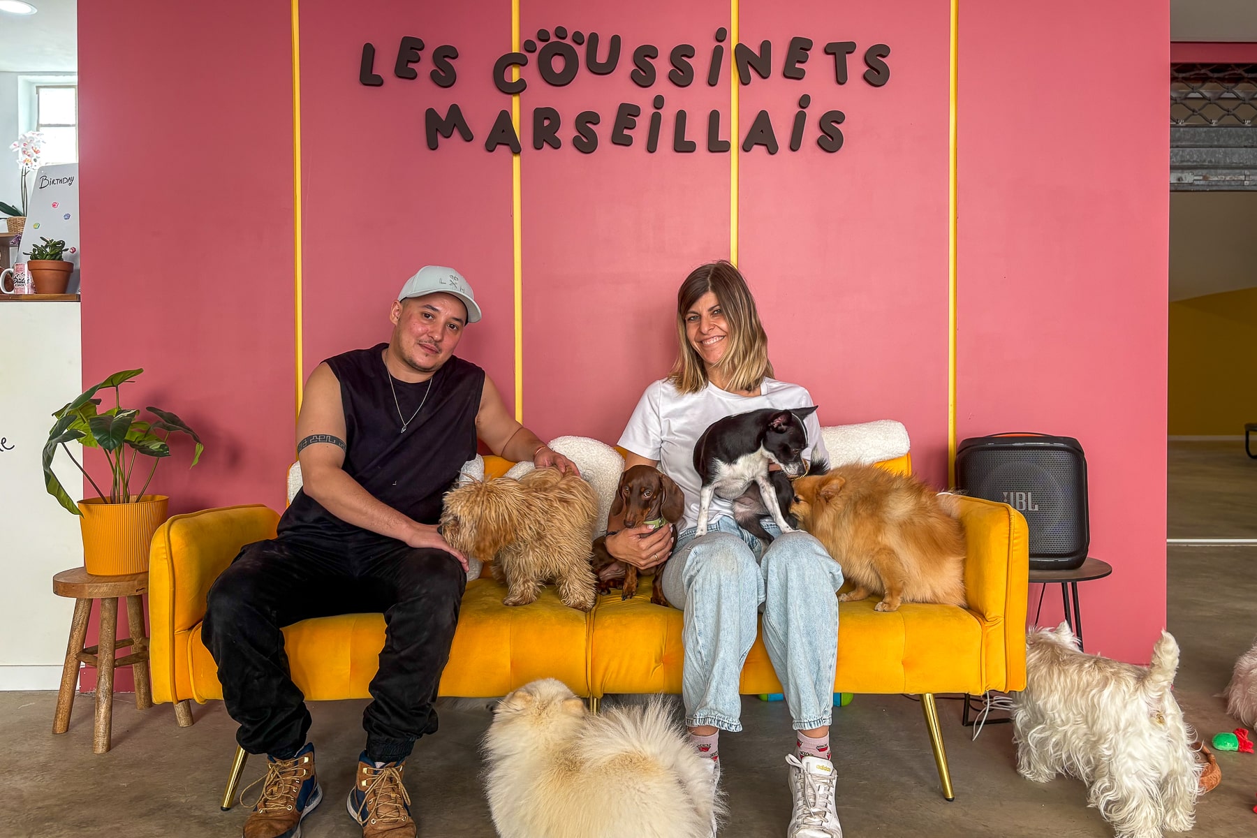 garderie canine, Vid&eacute;o | Les Coussinets Marseillais, la premi&egrave;re garderie canine de Marseille, Made in Marseille