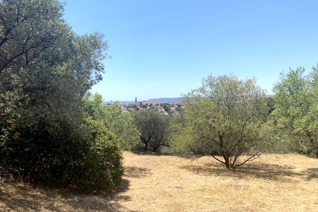 annonciade, Au Nord de Marseille, la cr&eacute;ation du futur parc de l&rsquo;Annonciade d&eacute;bute en 2026, Made in Marseille