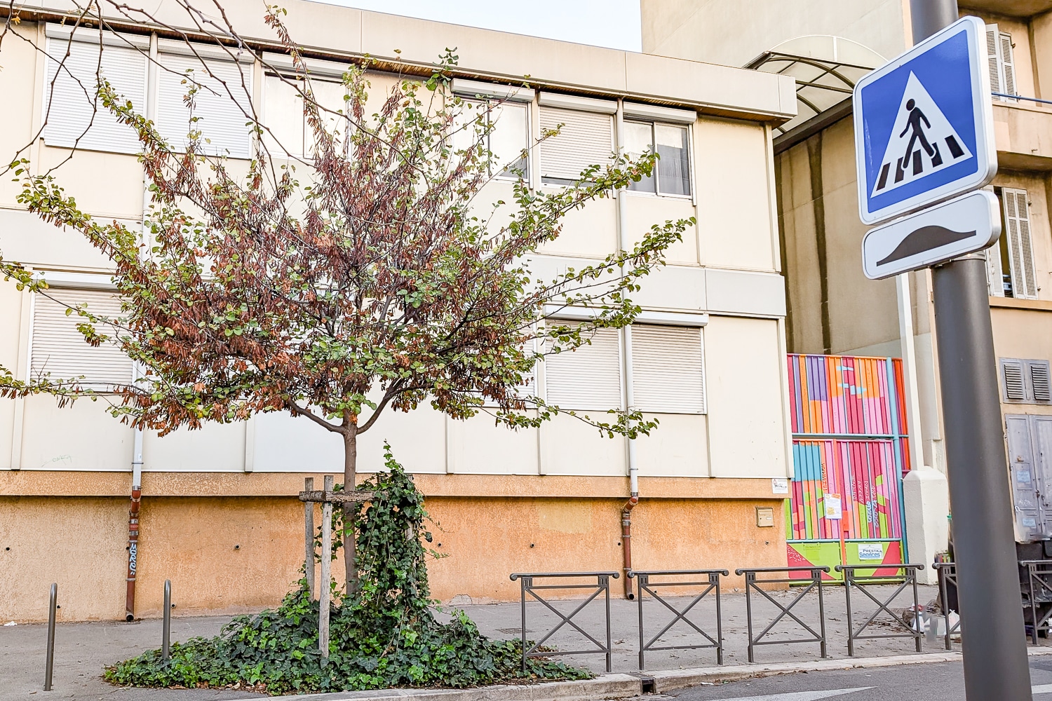 provençal, La première école bilingue en provençal ouvre à Marseille, Made in Marseille