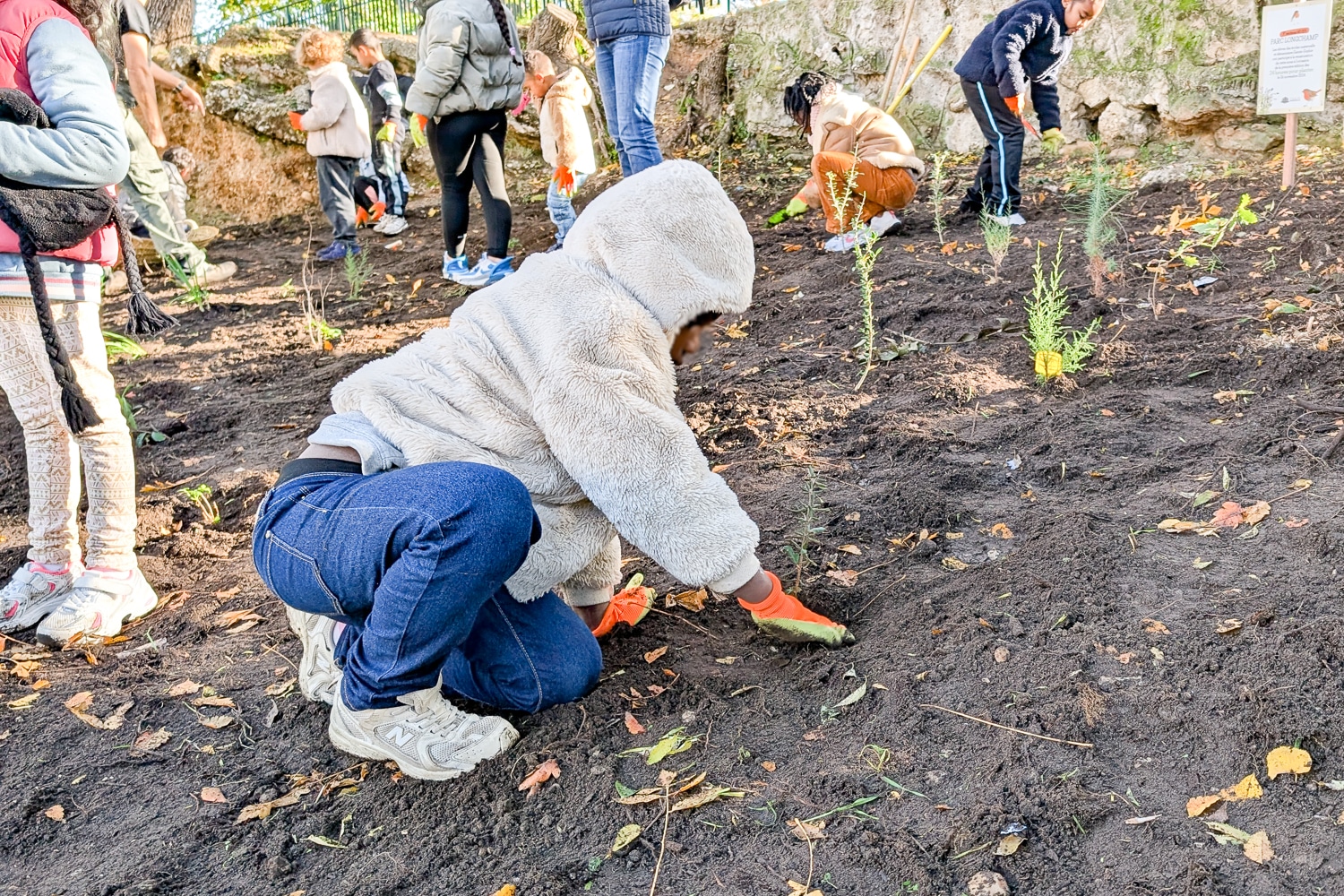 400, Les écoliers prennent leur pelle et plantent 400 arbres dans les parcs de Marseille, Made in Marseille