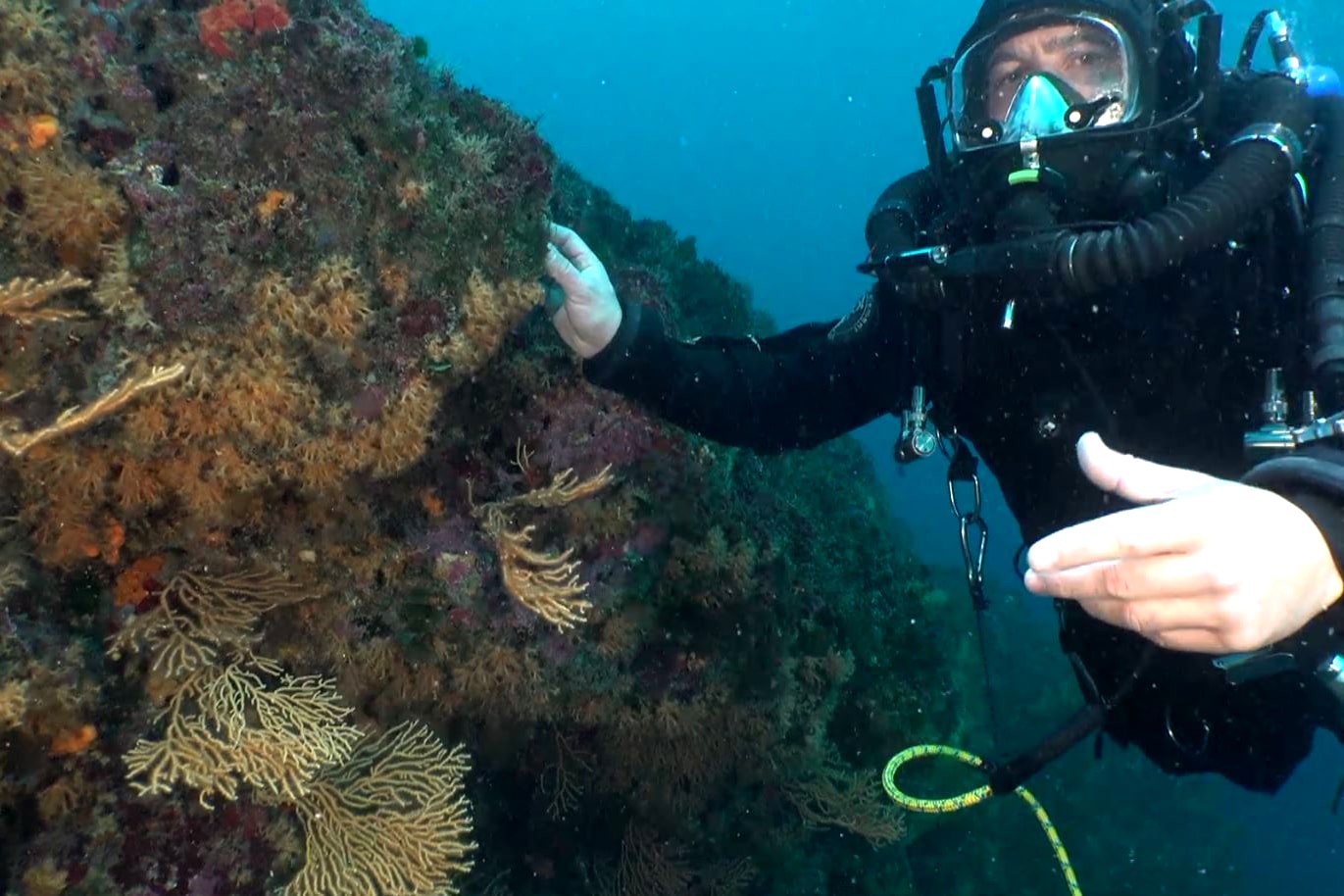 direct, Vidéo | 2 500 écoliers plongent dans les fonds marins grâce à un live interactif, Made in Marseille