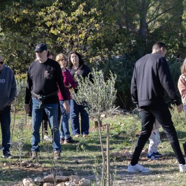 %%sitename%%, Made in Marseille &#8212; &#8211; v2, Made in Marseille