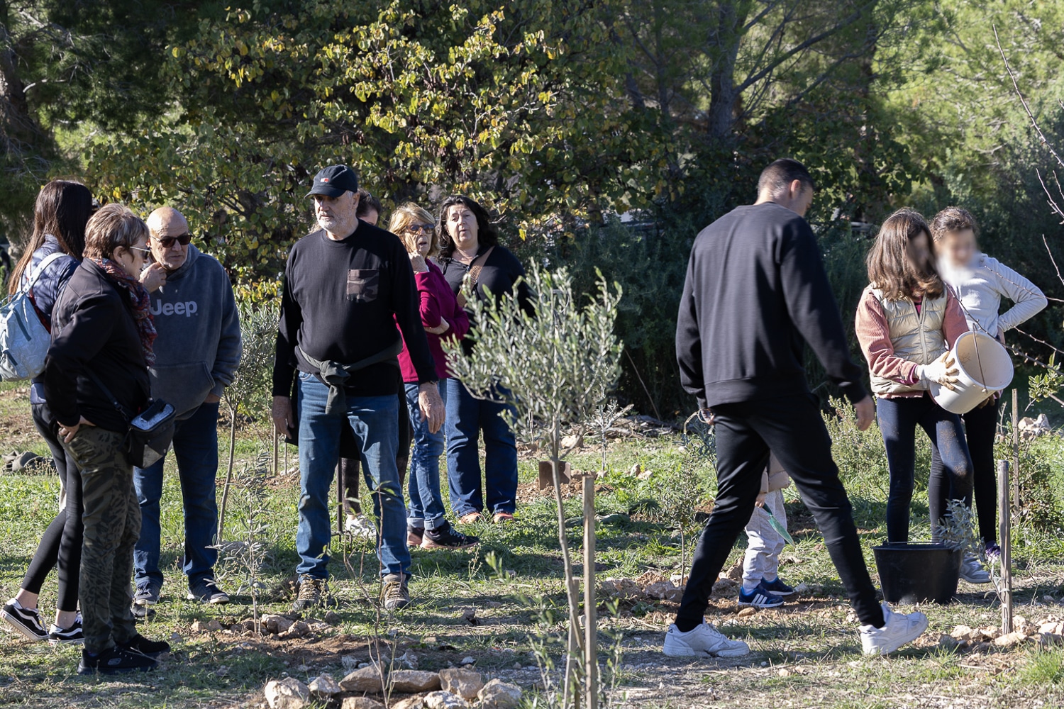 moteur de recherche, Une forêt replantée à Sausset grâce à un moteur de recherche internet écolo, Made in Marseille