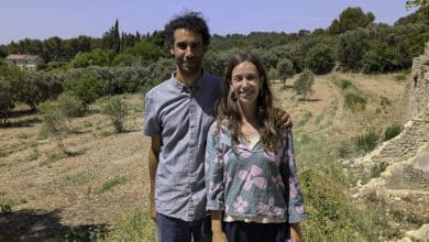 agricole