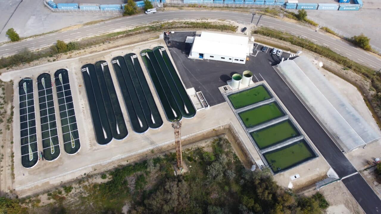 Eranova, Vidéo | Eranova transforme les algues vertes de l&rsquo;Étang de Berre en bioplastique, Made in Marseille