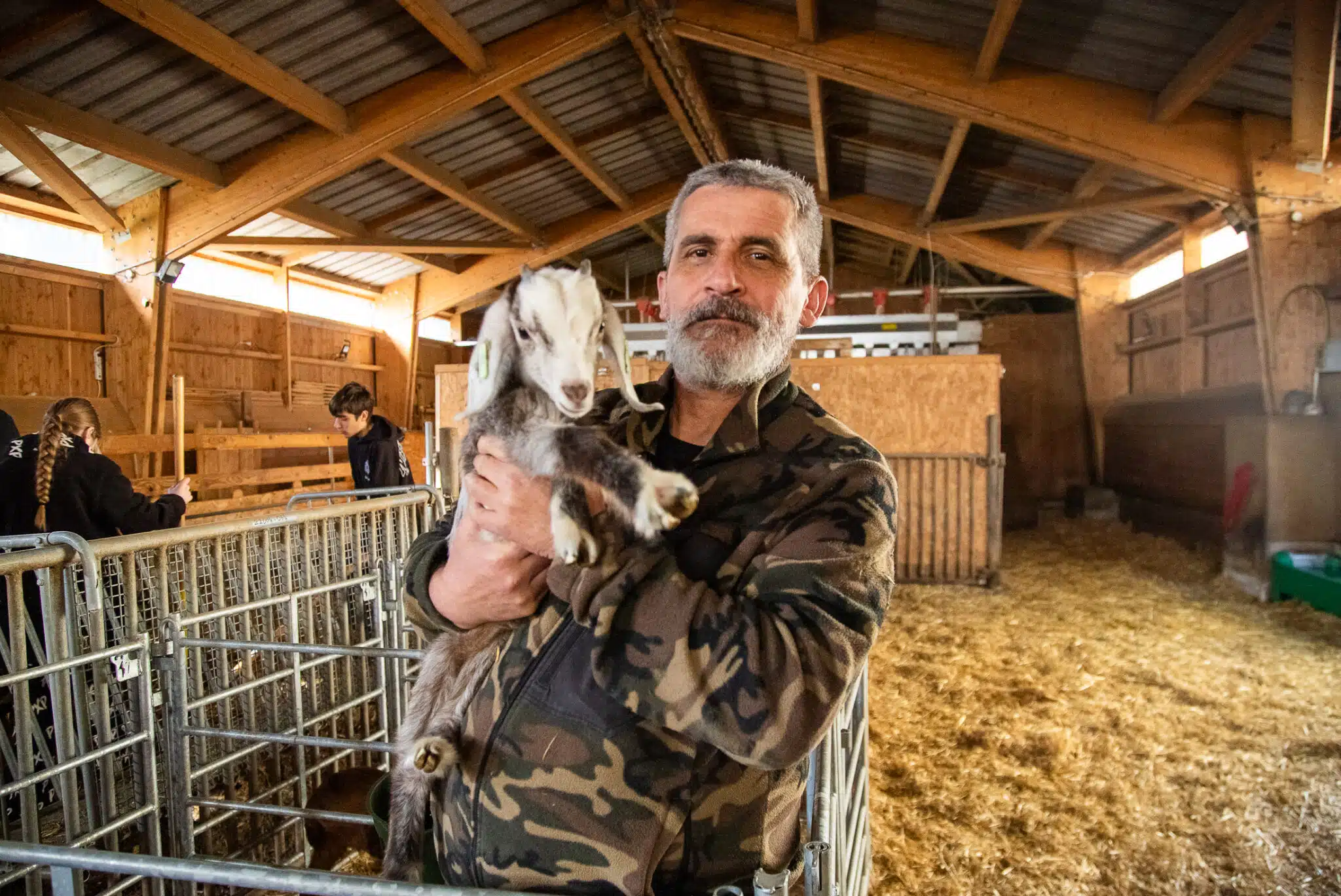 moutons marseillais, Vidéo | Les moutons marseillais partent en transhumance pour défendre le pastoralisme, Made in Marseille
