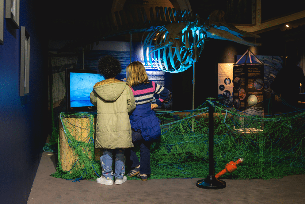 une exposition, Océans, une exposition gratuite à Longchamp pour découvrir les richesses de la mer, Made in Marseille