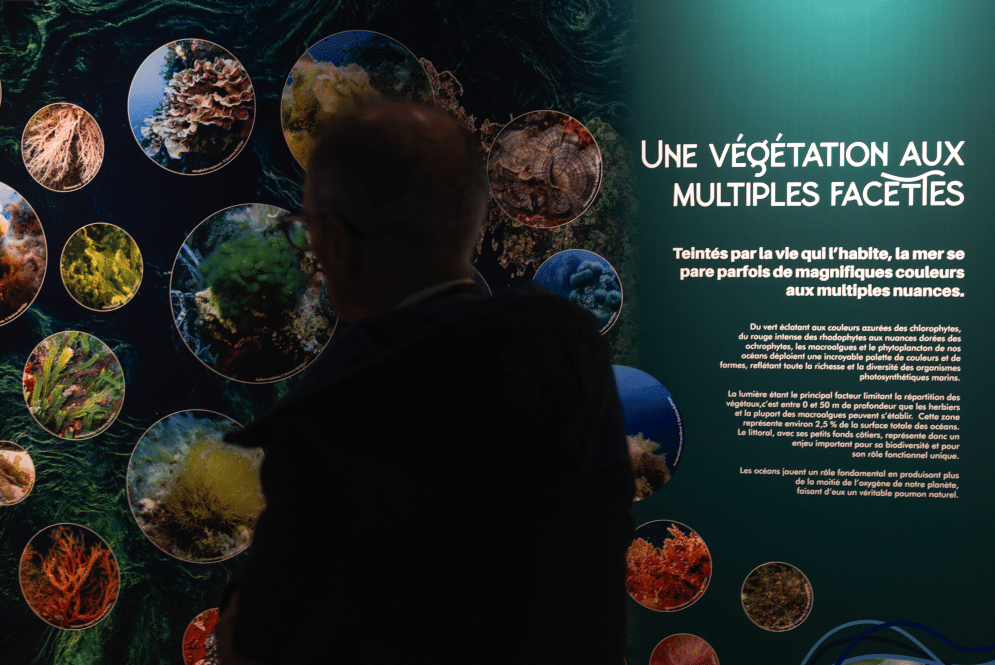 une exposition, Océans, une exposition gratuite à Longchamp pour découvrir les richesses de la mer, Made in Marseille
