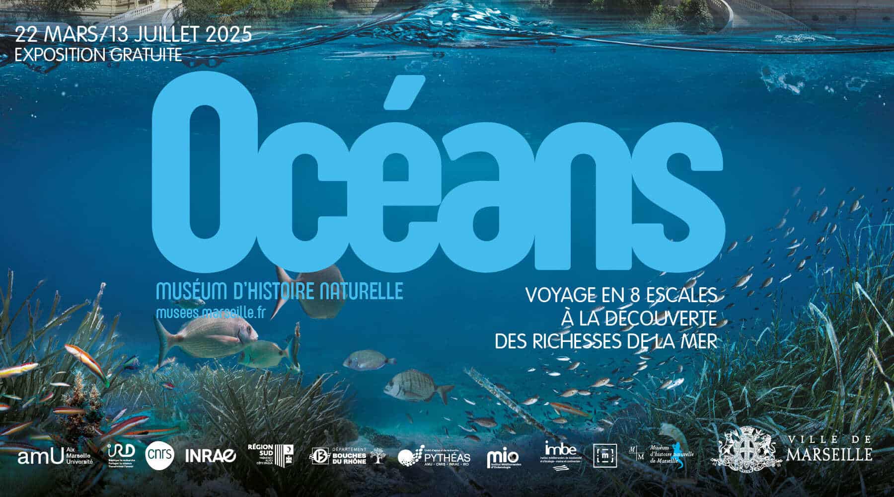 une exposition, Océans, une exposition gratuite à Longchamp pour découvrir les richesses de la mer, Made in Marseille