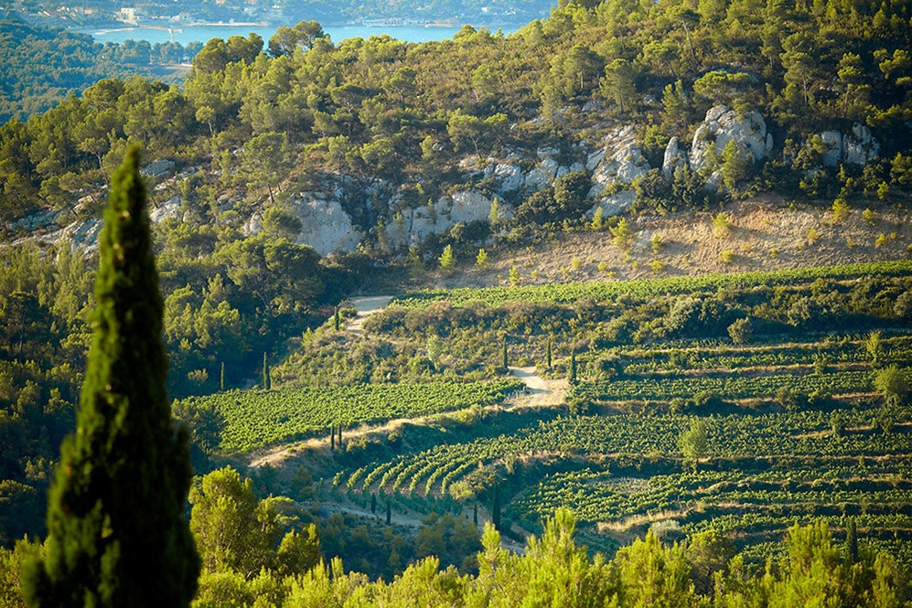 vignobles provençaux, Le Fascinant Week-end, des activités uniques dans les vignobles de Provence, Bandol et Sud Luberon, Made in Marseille