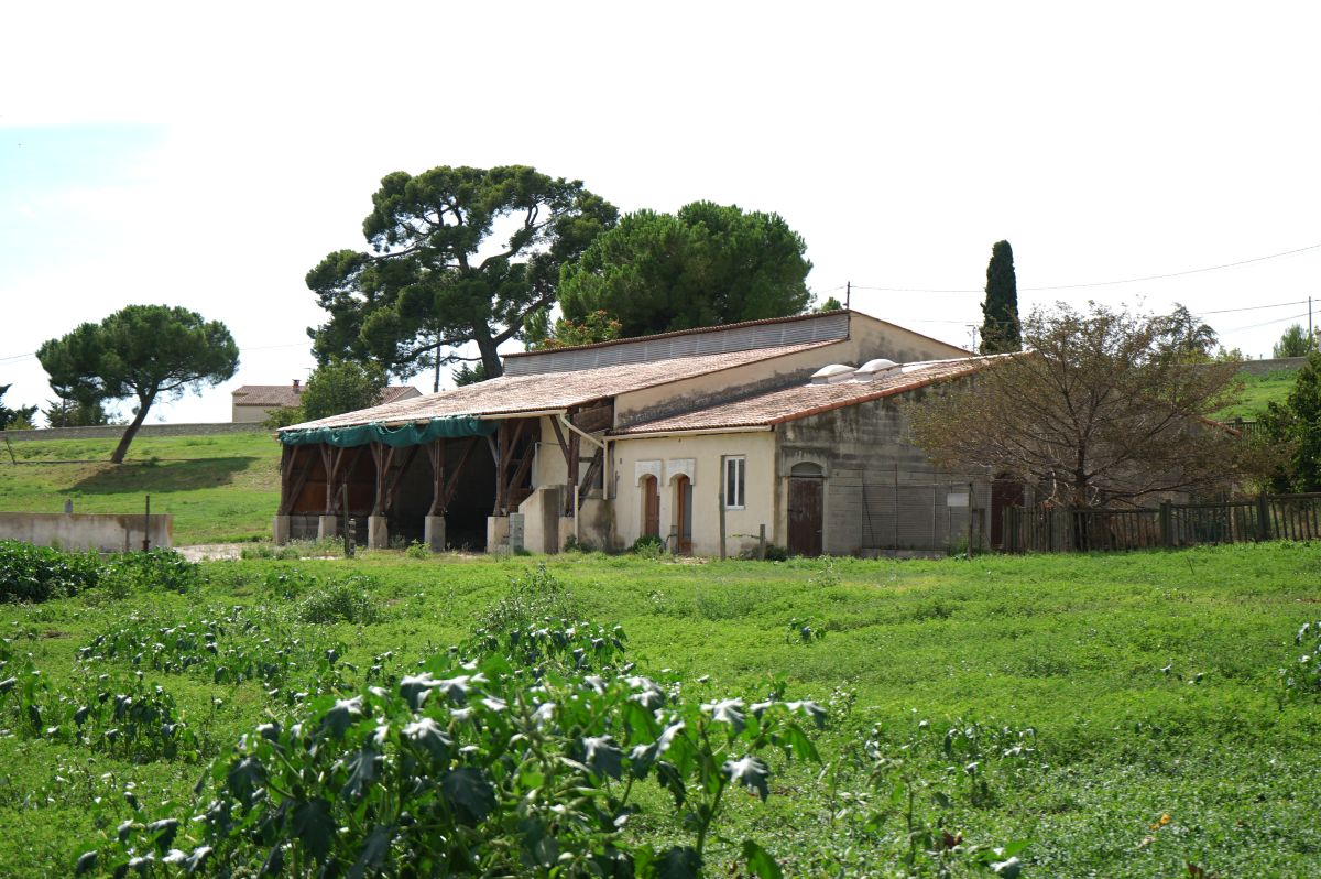 Montgolfier, À Marseille, une agricultrice va cultiver deux hectares sur le domaine Montgolfier, Made in Marseille