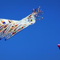 , Le Festival international du cerf-volant ou &#8220;Fête du vent&#8221; au Prado, Made in Marseille