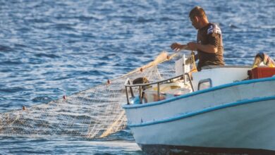 filae recycle les filets de pêche pour rafraîchir les bâtiments.