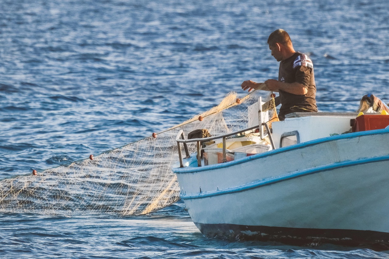 Filae, Des filets de pêches recyclés pour verdir les rues et rafraîchir les bâtiments, Made in Marseille