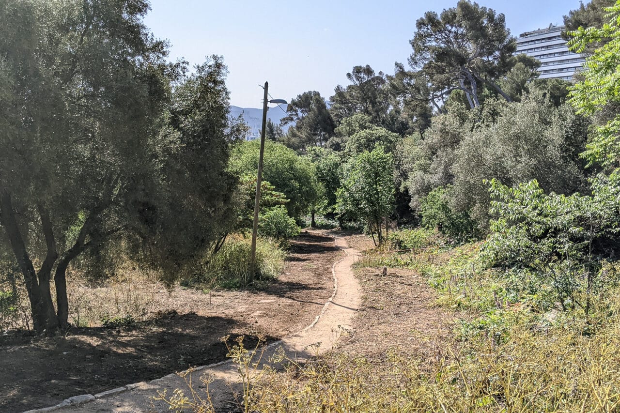 friches, Un appel à projets pour se réapproprier les friches naturelles urbaines de Marseille, Made in Marseille