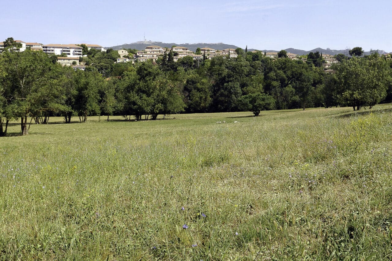 friches, Un appel à projets pour se réapproprier les friches naturelles urbaines de Marseille, Made in Marseille