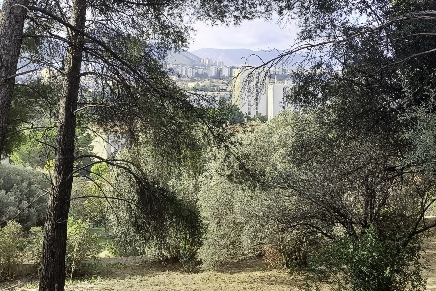 friches, Un appel à projets pour se réapproprier les friches naturelles urbaines de Marseille, Made in Marseille
