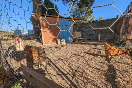 bastide, Dans une bastide entourée d&rsquo;usines, un pôle artistique reprend vie dans les quartiers Nord, Made in Marseille