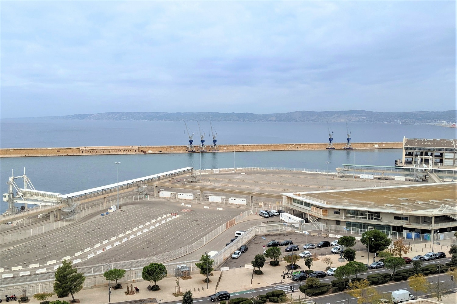 Port Center, Expos, visites, animations… Le Port Center ouvrira à la gare maritime de la Major avant les JO 2024, Made in Marseille