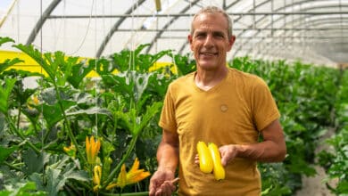 gilles josuan courgettes