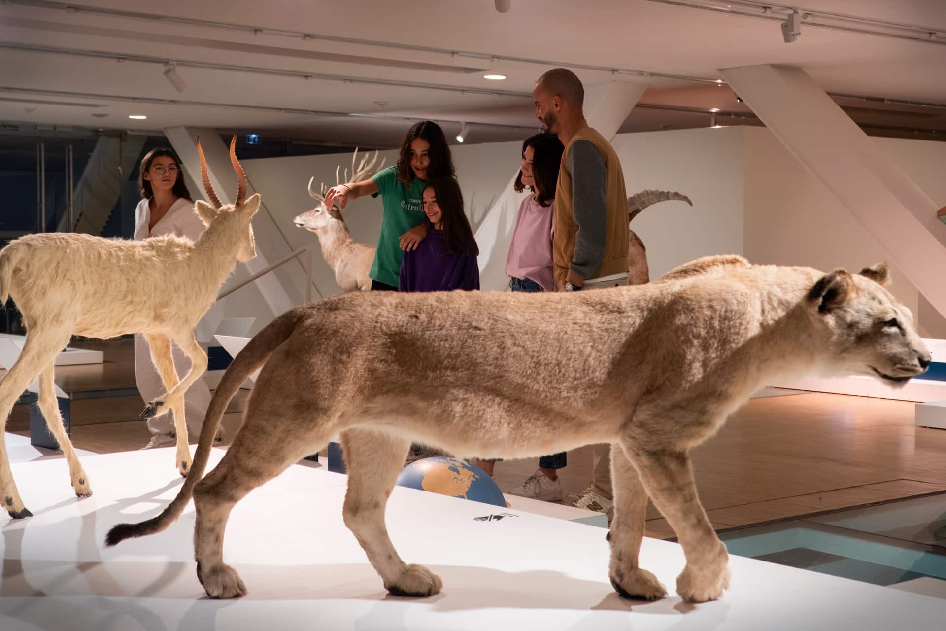 , La grotte Cosquer à Marseille, étape incontournable pour vos visites cet été, Made in Marseille