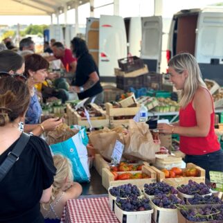 %%sitename%%, Made in Marseille — – v2 élections municipales, Made in Marseille