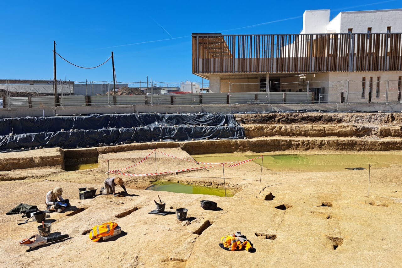 vignoble, Vidéo | Un vignoble vieux de 2500 ans découvert dans les quartiers Nord de Marseille, Made in Marseille