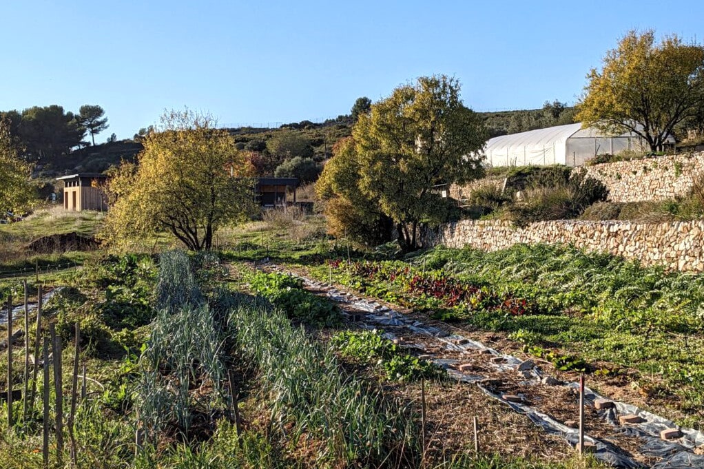 colinéo, Vidéo | Colinéo, des terres agricoles préservées au nord-est de Marseille, Made in Marseille